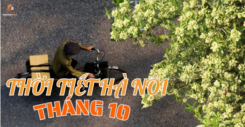 Thời tiết Hà Nội tháng 10: Đắm chìm sắc thu vàng rực rỡ Hà Nội